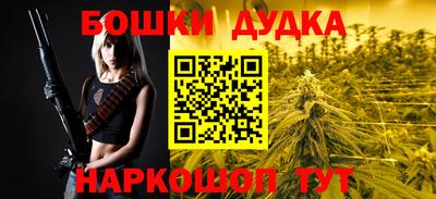 мдпв Будённовск