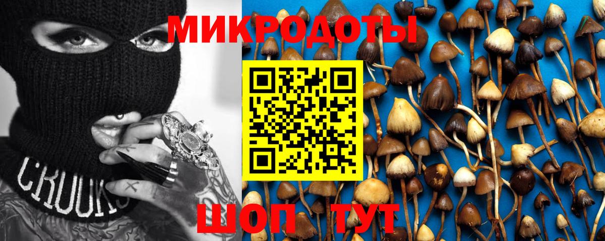 Луга  Псилоцибиновые грибы MAGIC MUSHROOMS  Псилоцибиновые грибы MAGIC MUSHROOMS  Вход с VPN 