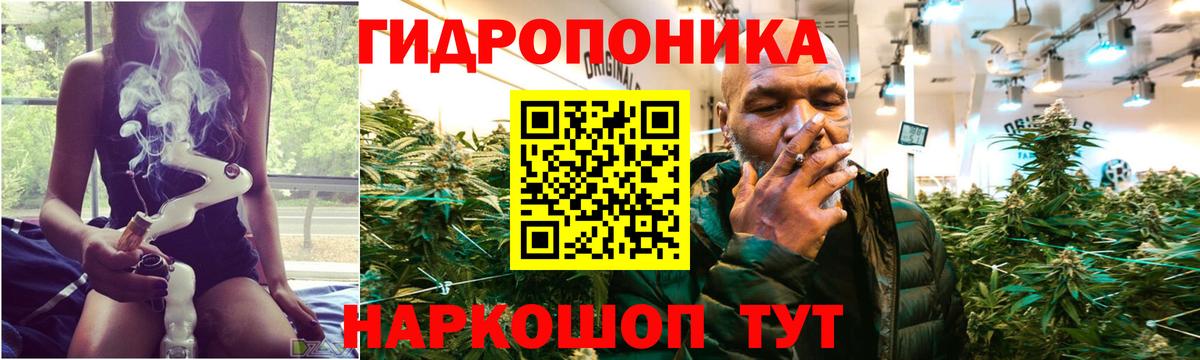 Бошки марихуана конопля Луга