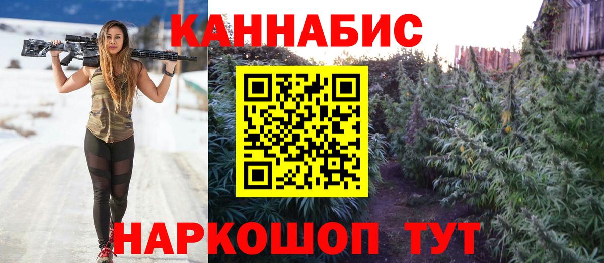 Бошки Шишки SATIVA & INDICA  Каннабис White Widow  Марихуана White Widow  Вход с VPN  Луга 